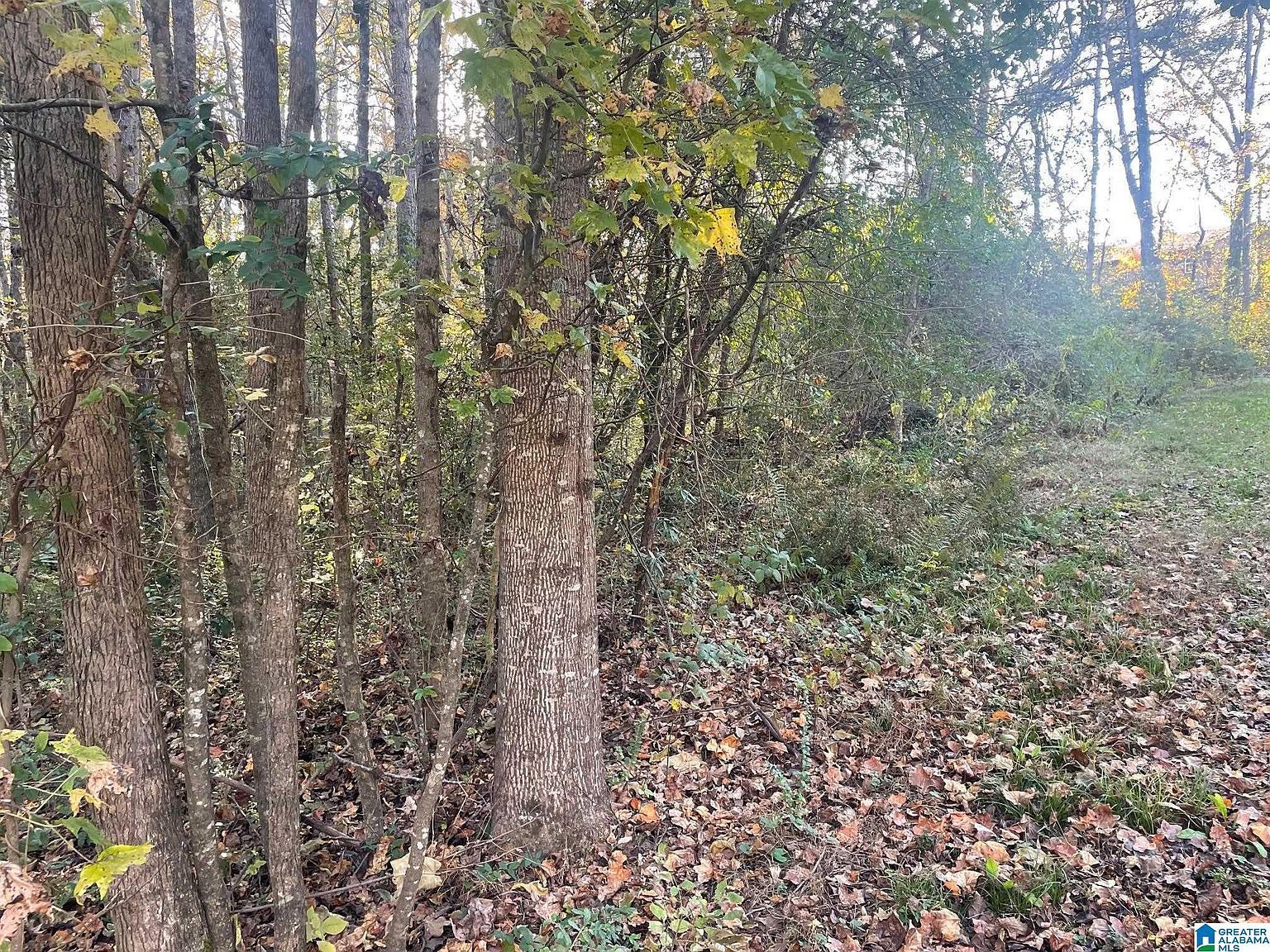 529 Foxfire Dr #8 Gardendale, AL 35071  | Land/Lot