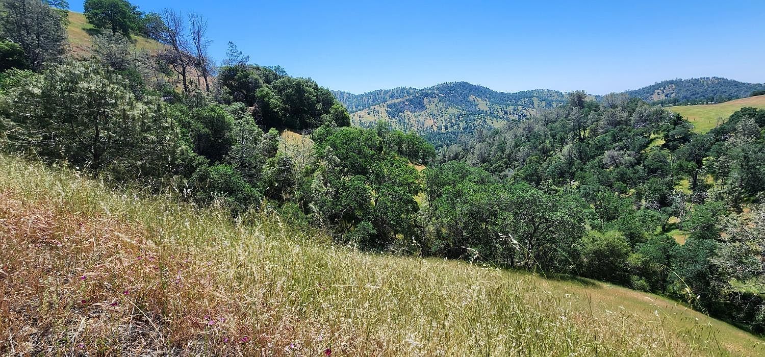 1111 Lazy L Summit Ln Coarsegold, CA 93614 - Thumbnail 5