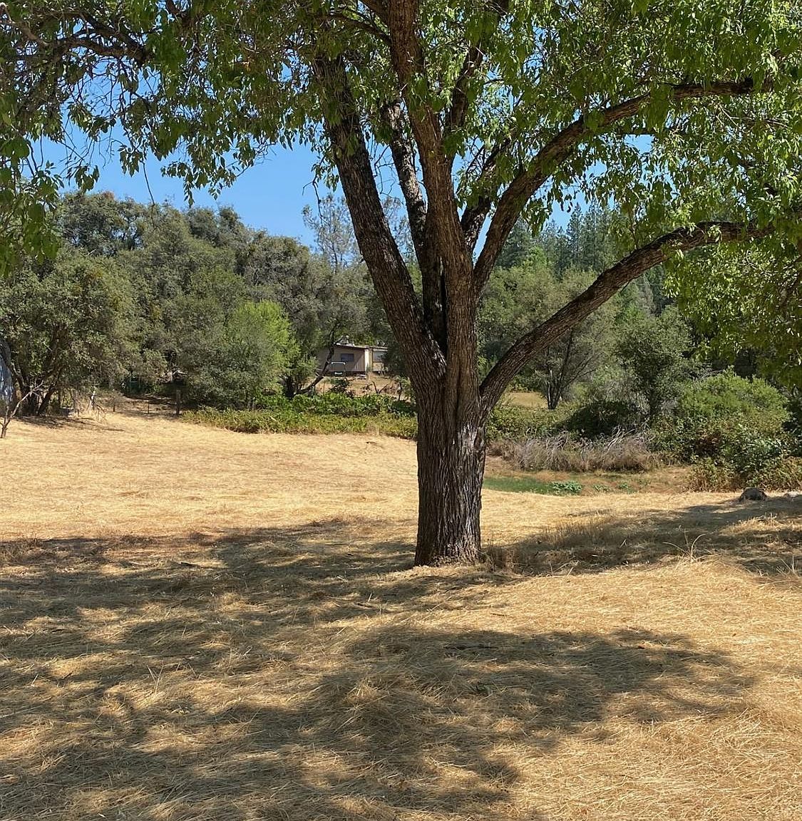 20357 Pleasant Valley Rd North San Juan, CA 95960 - Thumbnail 5