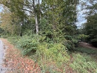 2 Galestown Rd Rockingham, NC 28379 - Thumbnail 5