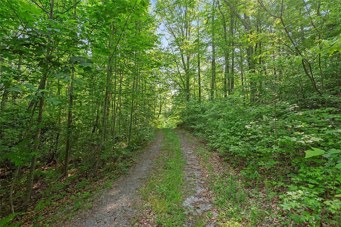 0 Homeland Dr Mountain Rest, SC 29664 - Thumbnail 5