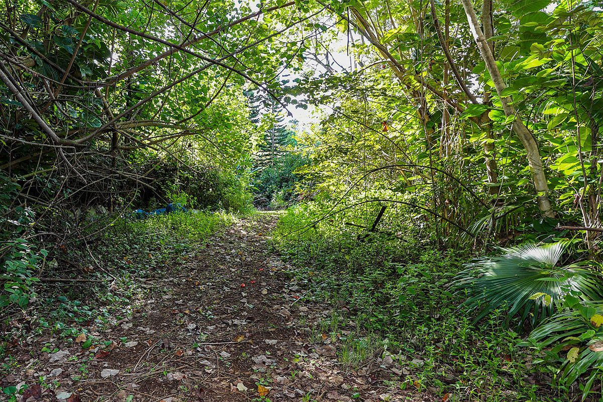 6828B Kuamoo Rd #2 Kapaa, HI 96746 - Thumbnail 5