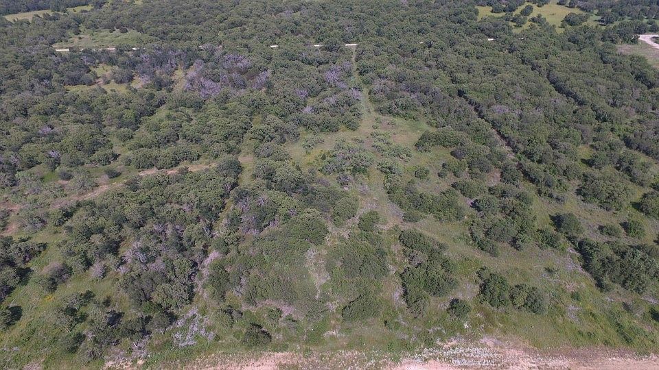 90 Paradise Oaks Perrin, TX 76486 - Thumbnail 5