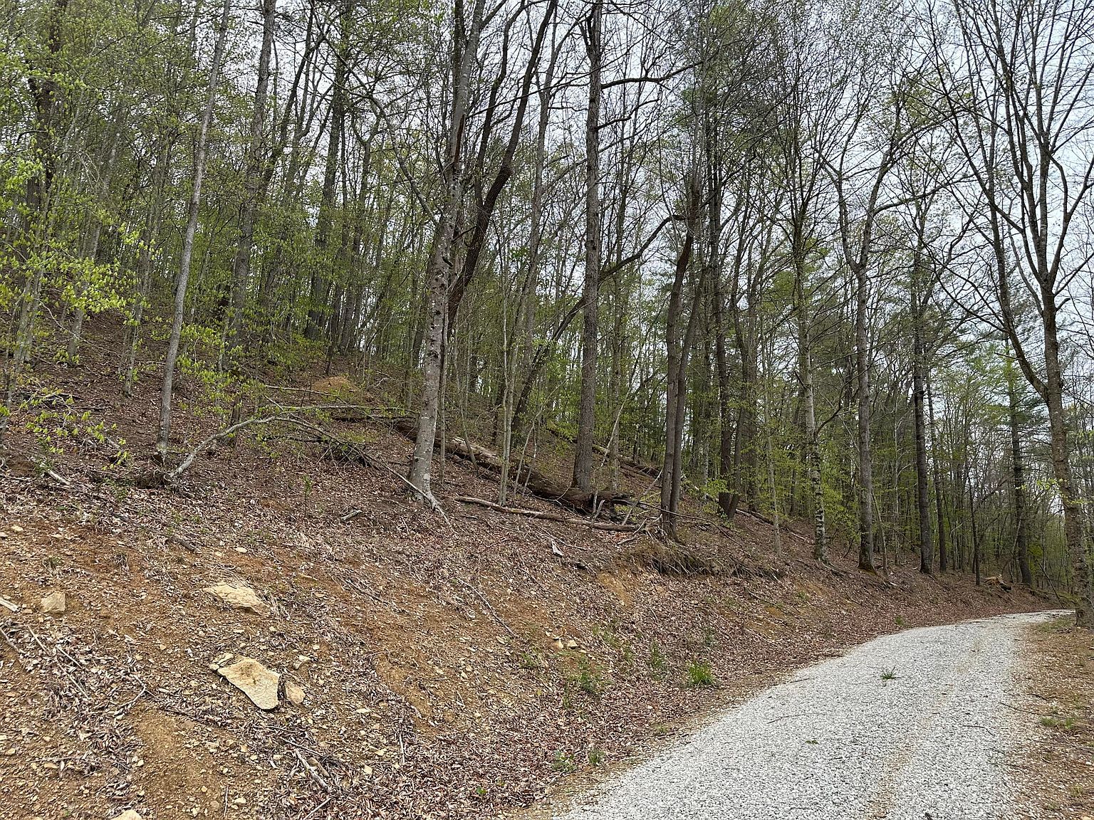 43 Deer Run Ln Campton, KY 41301 - Thumbnail 5