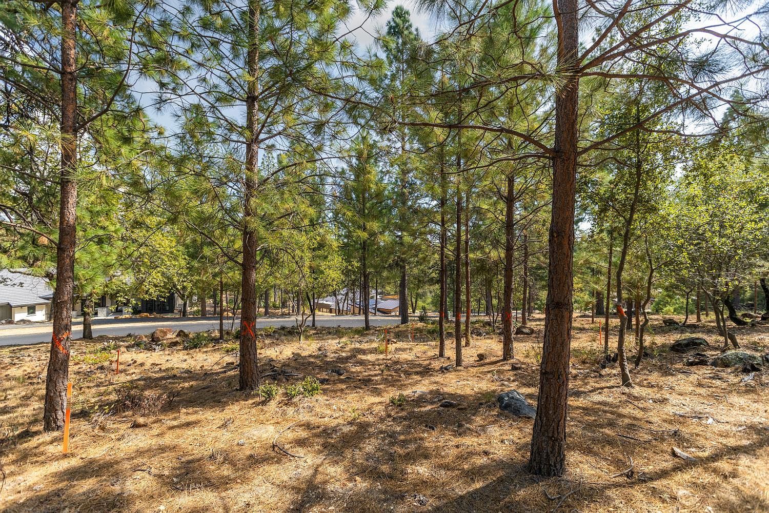 1621 The Point Rd Meadow Vista, CA 95722 - Thumbnail 5