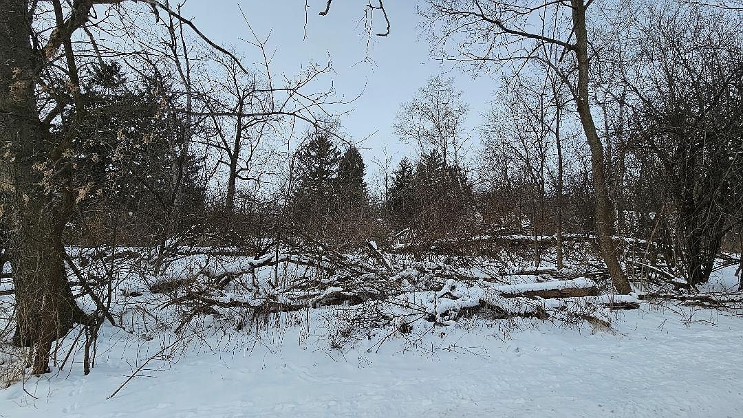 LOT 8050 Quail Rd Lake Geneva, WI 53147  | Land/Lot