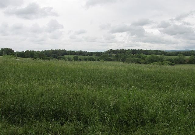 621 Blue Water Dr LOT 57 Cookeville, TN 38506  | Land/Lot