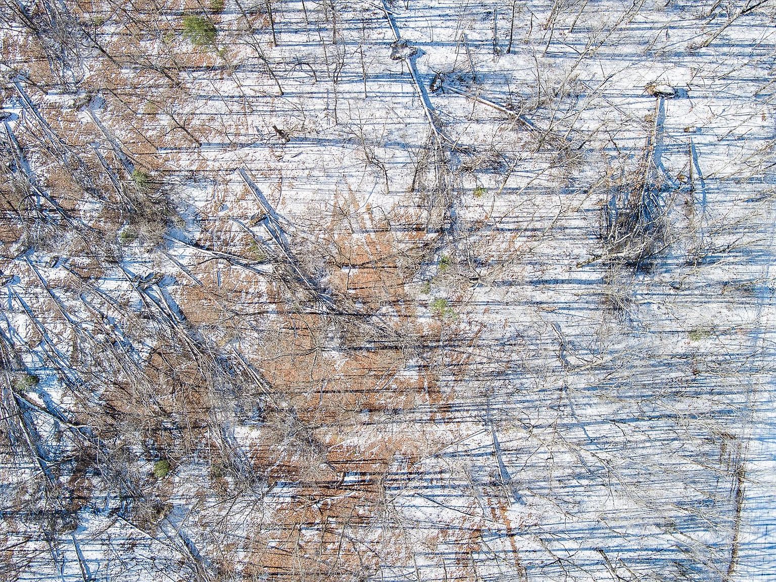 0 Cumberland Lakes Dr LOT 27 Monterey, TN 38574 - Thumbnail 5