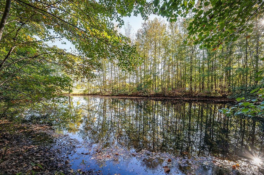 212 Park Rd Rickman, TN 38580 - Thumbnail 5