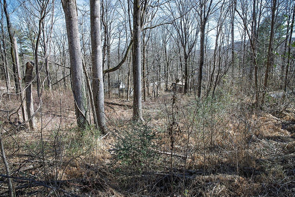 LOT 54 Lake Valley Dr Cookeville, TN 38506 - Thumbnail 5