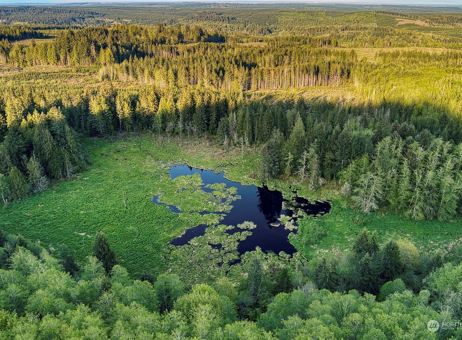 0 Elkhorn Ln Quilcene, WA 98376 - Thumbnail 5