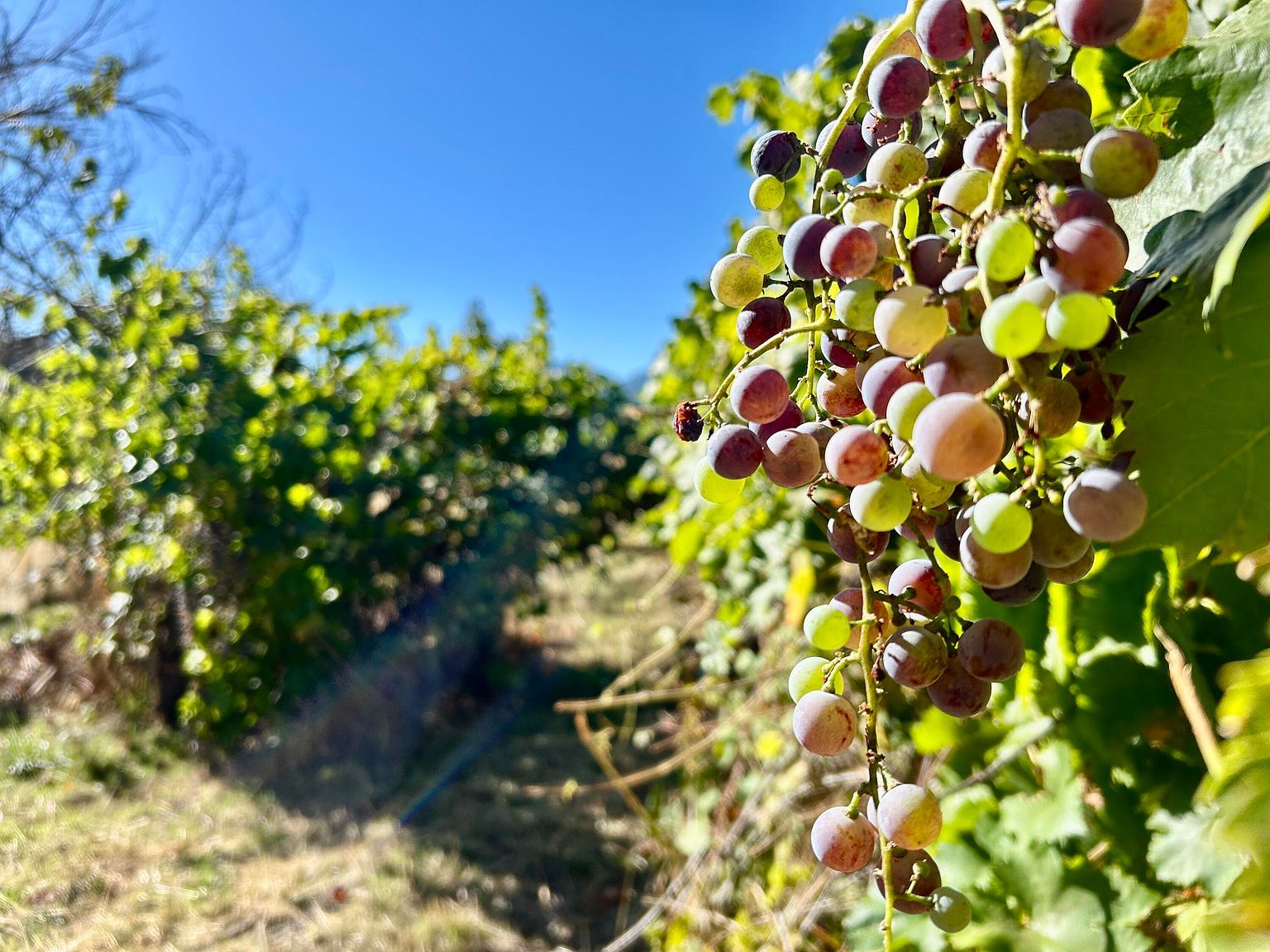 2864 Griffin Creek Rd Medford, OR 97501 - Thumbnail 5