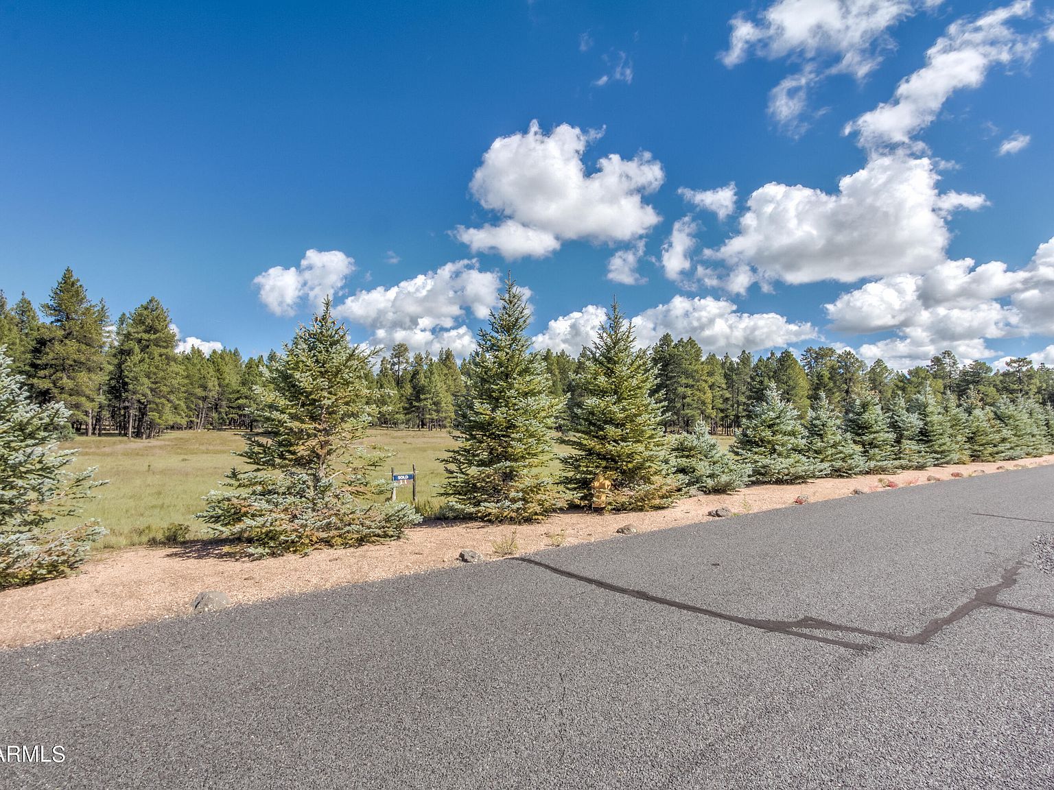 95 E Foxboro Rd #11 Munds Park, AZ 86017 - Thumbnail 5