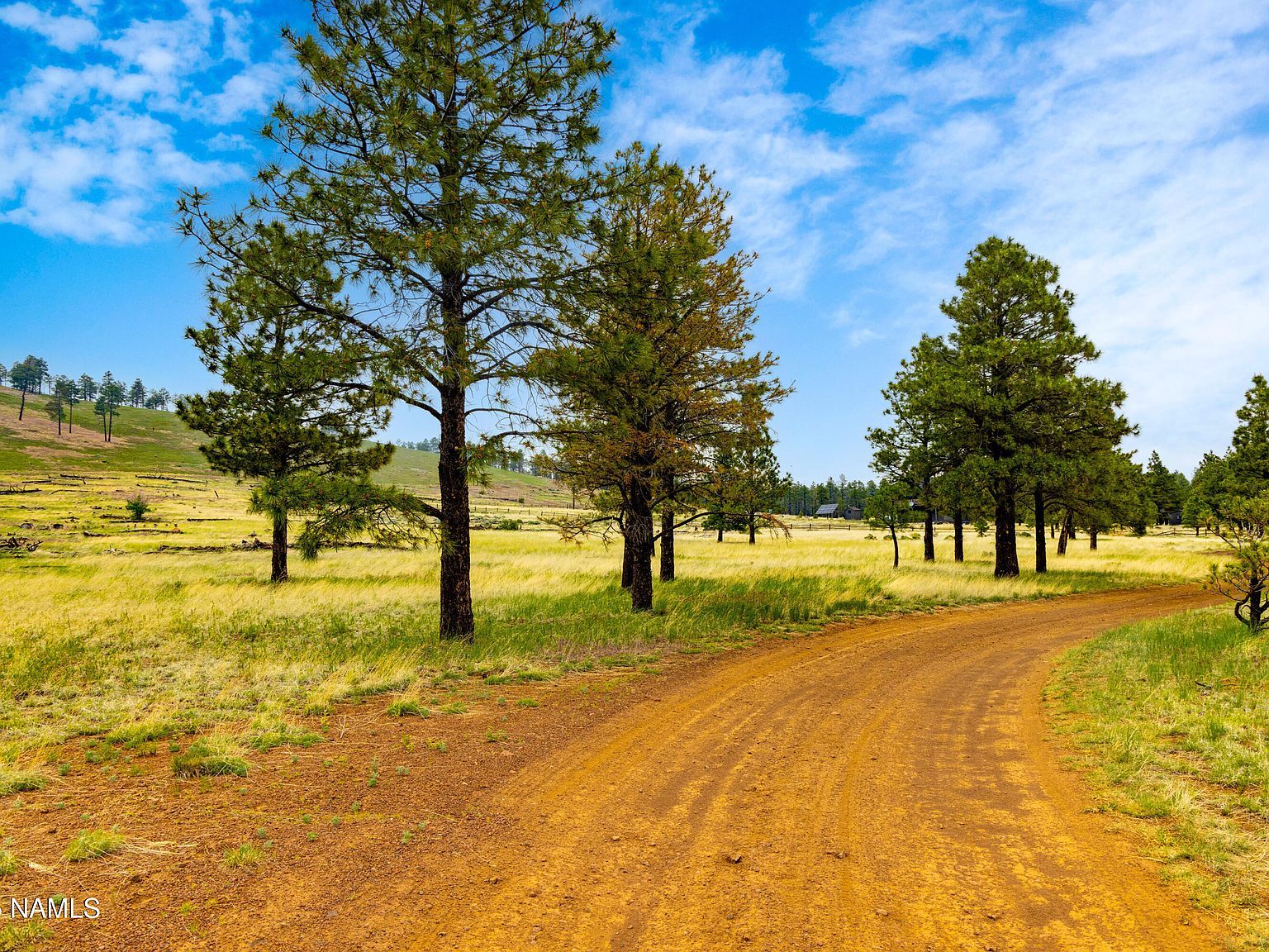 0 Snow Bowl Estates 2 Lot 7 Flagstaff, AZ 86001 - Thumbnail 5