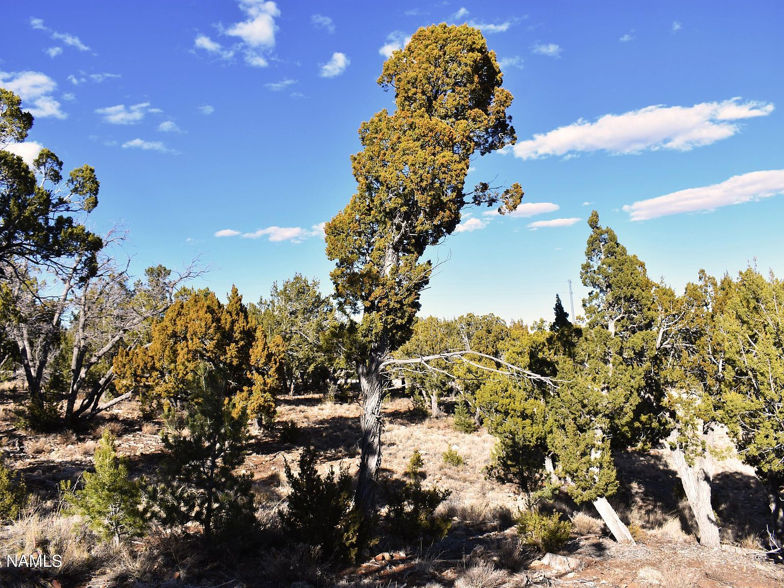 4367 Sunset Ridge Loop Happy Jack, AZ 86024 - Thumbnail 5