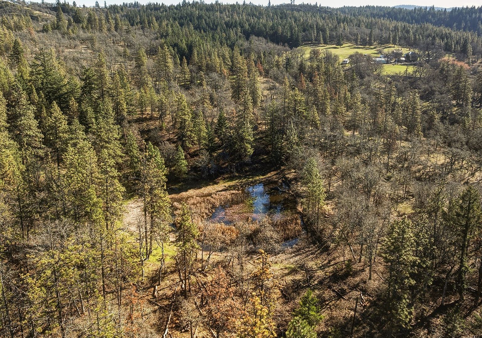 Morgensen Rd Mosier, OR 97040 - Thumbnail 5