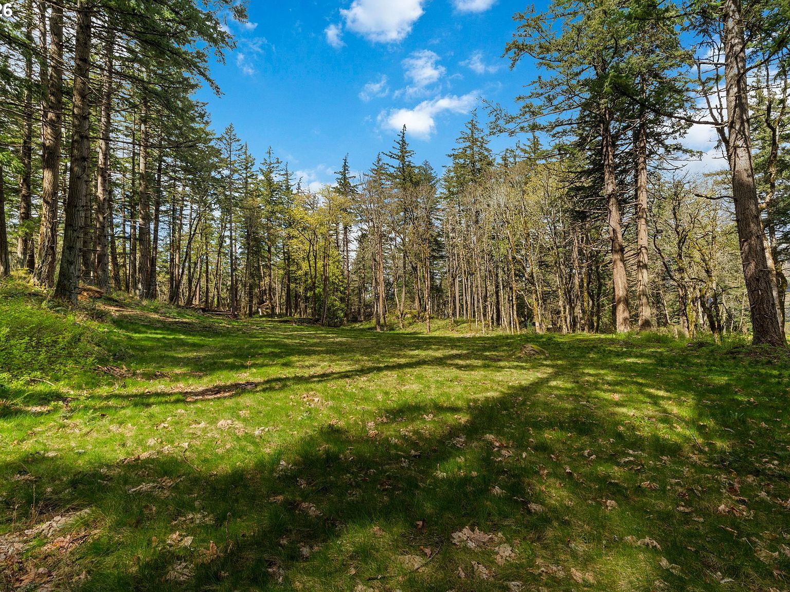 445 Country Club Rd Hood River, OR 97031 - Thumbnail 5