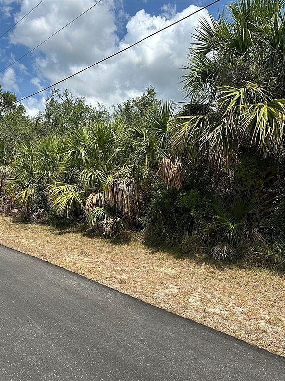 12006 Grouse Ave #6 Pt Charlotte, FL 33981 | Land/Lot