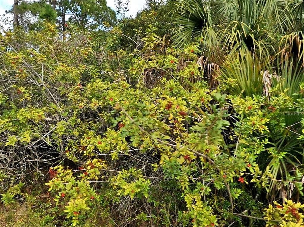 E Hallmark Blvd LOT 4 North Pt, FL 34288 - Thumbnail 5