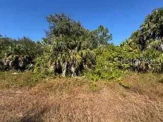 LOT 4 Mattox Cir North Pt, FL 34288 - Thumbnail 5