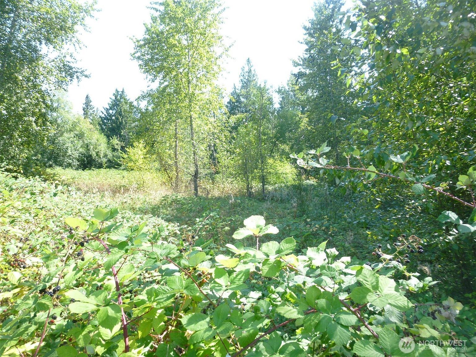 0 Larch Way Lynnwood, WA 98036 - Thumbnail 5