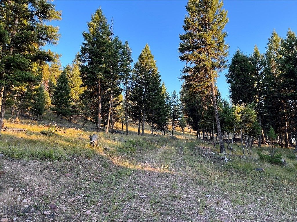 451 Crimson Peak Ct Seeley Lake, MT 59868 - Thumbnail 5