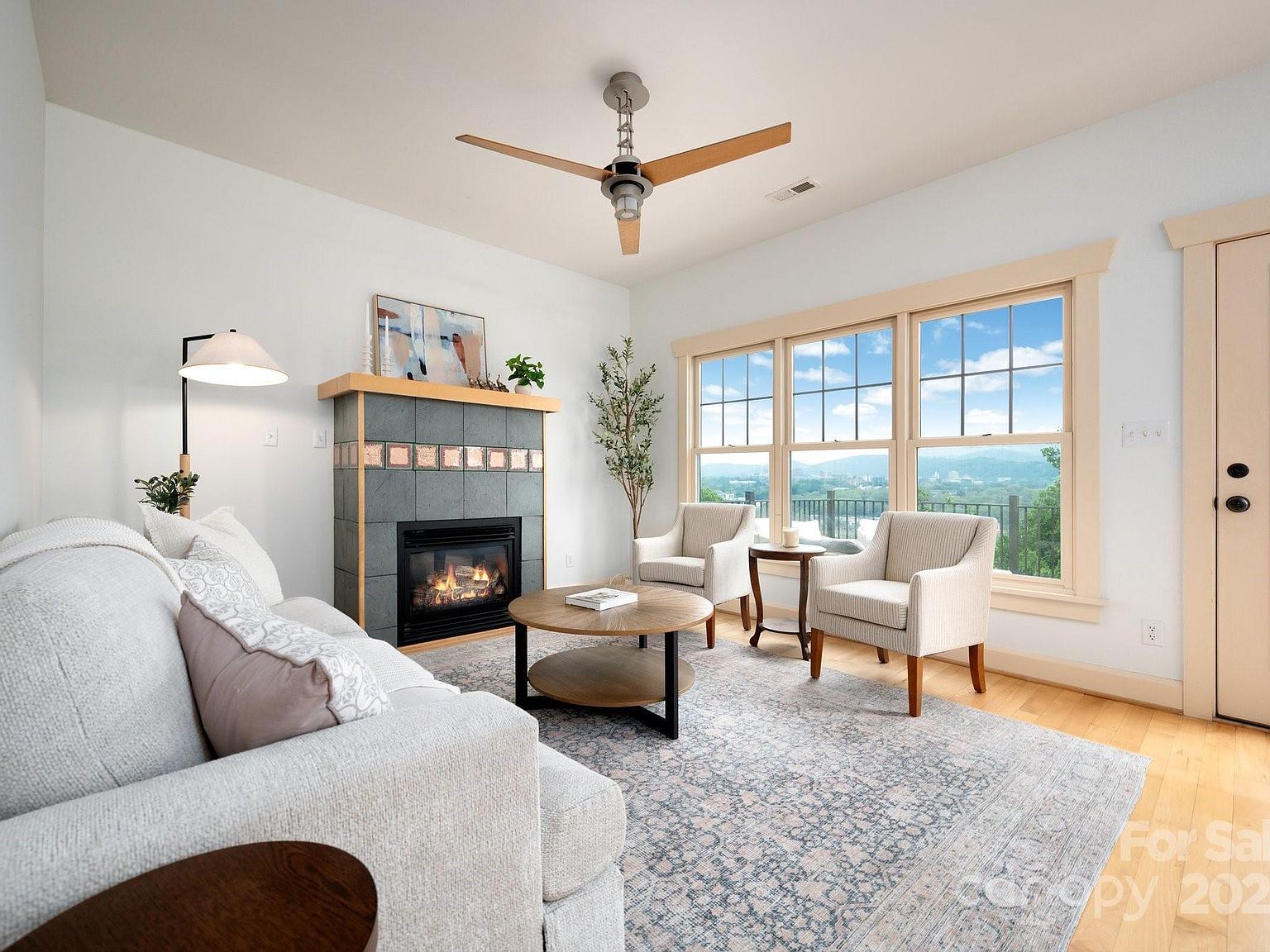 20 Grandview Dr Asheville, NC 28806 - Thumbnail 5