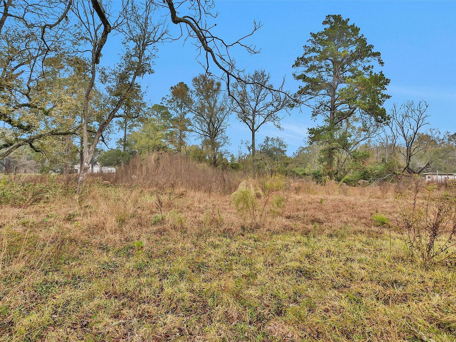 0 N Hill Ave Shepherd, TX 77371 - Thumbnail 5