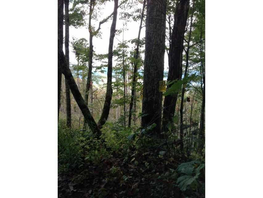 Rustic Log Cabin Lane, Roan Mountain, TN, USA, 37687 - Thumbnail 5