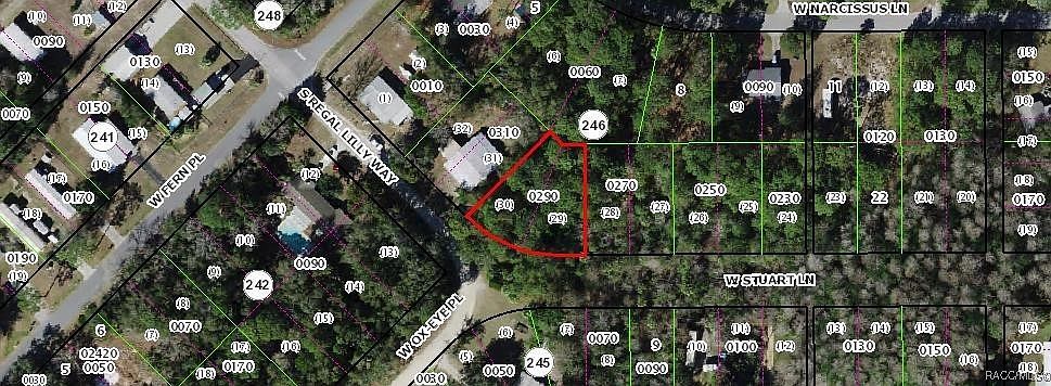7897 W Stuart Ln Homosassa, FL 34448 - Thumbnail 5