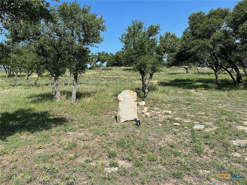 1145 Brads Flight Canyon Lake, TX 78133 - Thumbnail 5