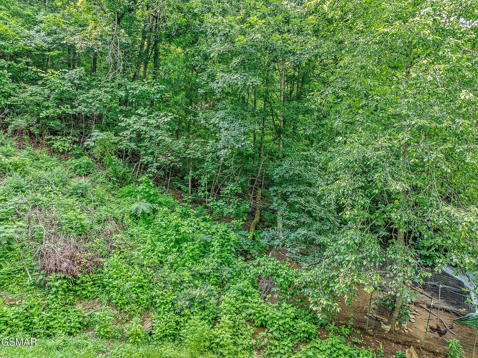 0 Henderson Springs Rd Pigeon Forge, TN 37863 - Thumbnail 5