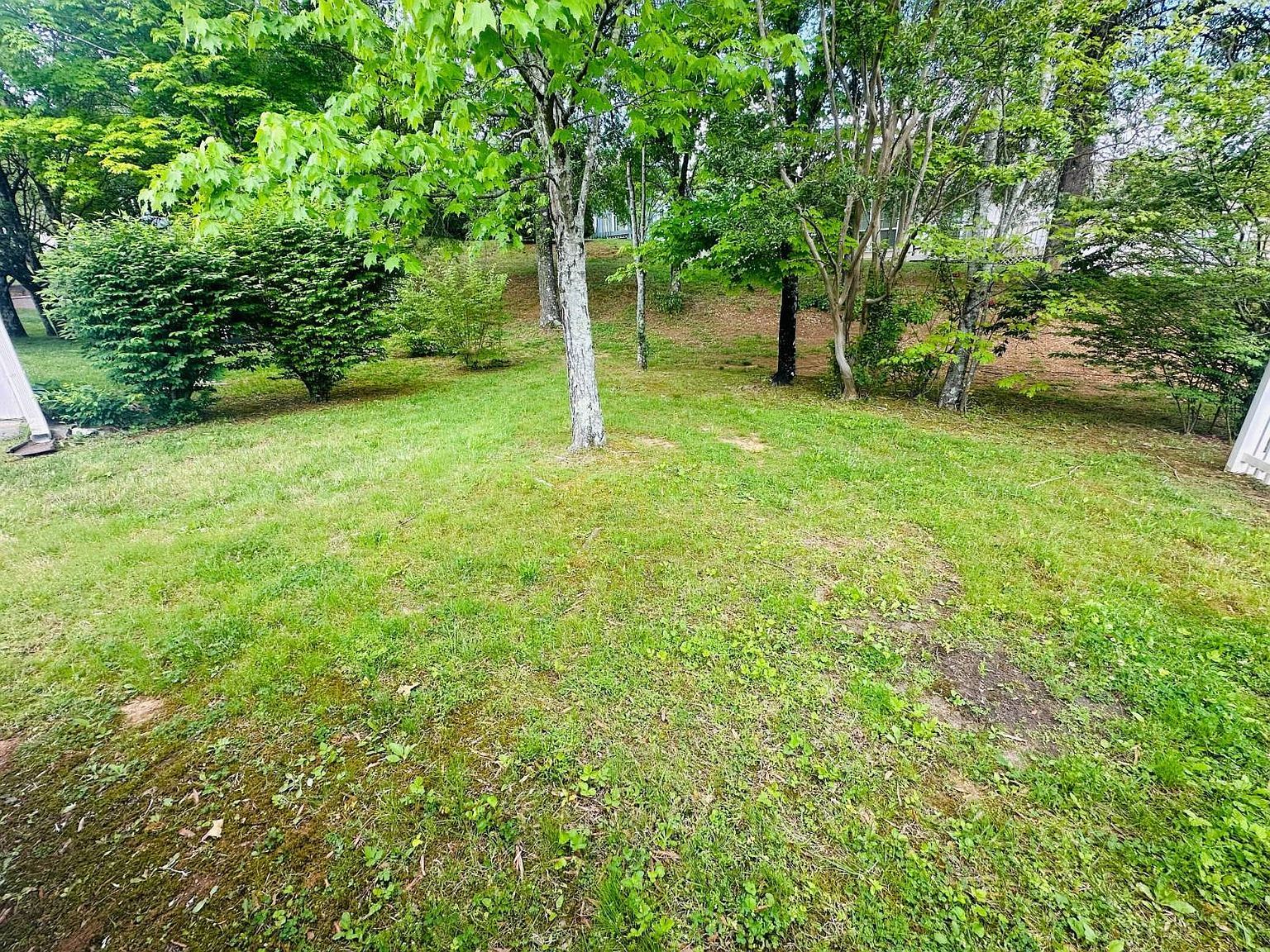 1974 Locarno Dr Knoxville, TN 37914 - Thumbnail 5