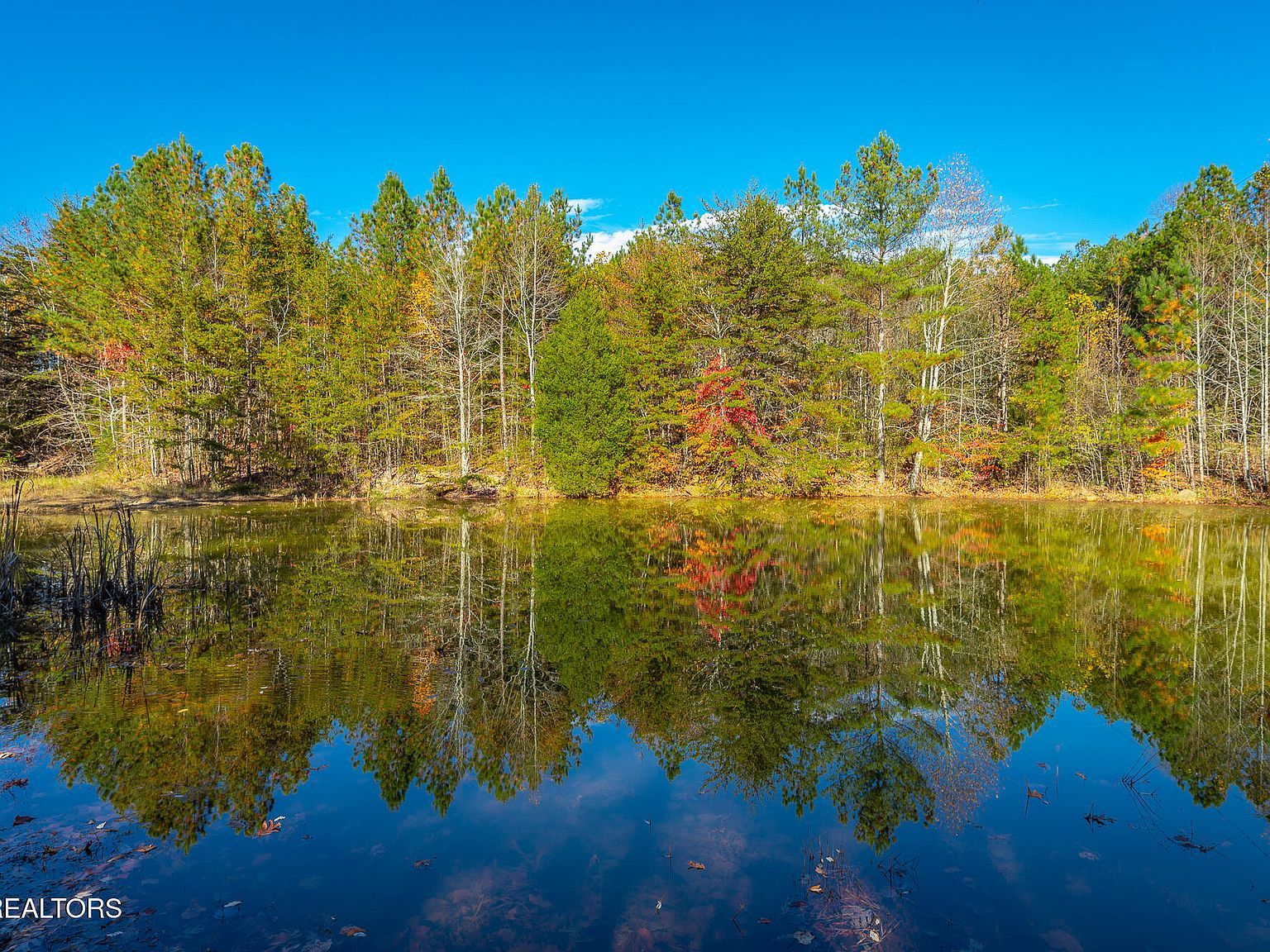 450 Hickory Rd Spring City, TN 37381 - Thumbnail 5