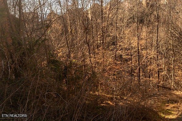 636 Stockton Dr Sevierville, TN 37876 - Thumbnail 5