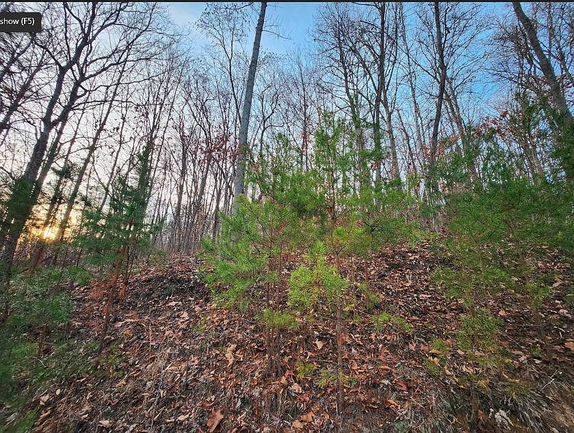 0 Ensor Church Hill, TN 37642 - Thumbnail 5