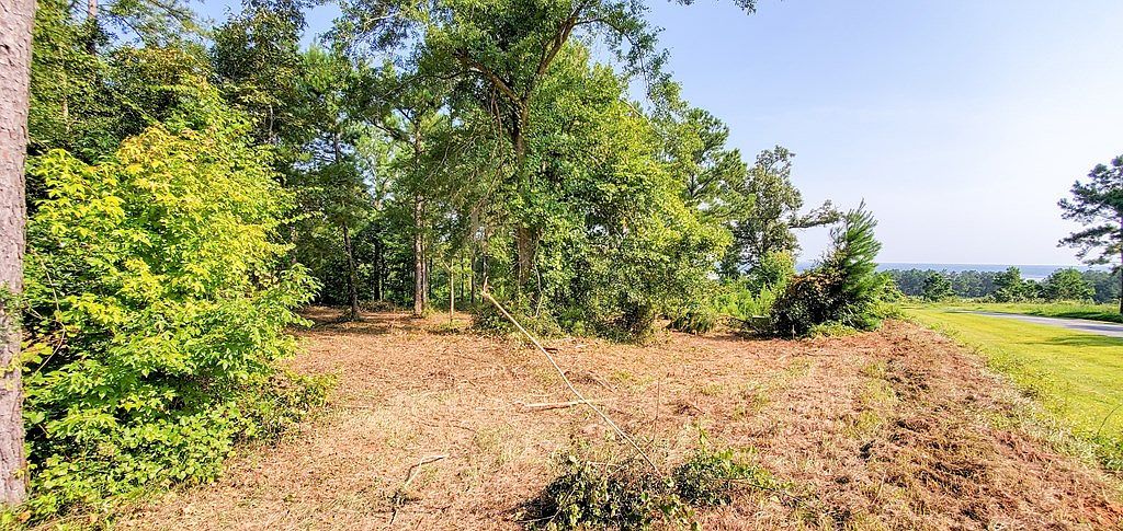 LOT-13A Mountain View Way Bainbridge, GA 39819 - Thumbnail 5