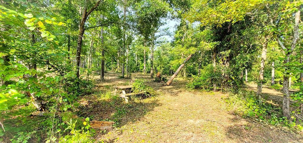 LOT-12A Mountain View Way Bainbridge, GA 39819 - Thumbnail 5