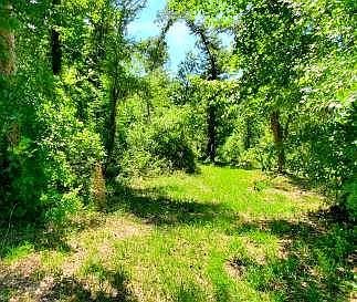 LOT 19 A Hammock Cir Bainbridge, GA 39819 - Thumbnail 5