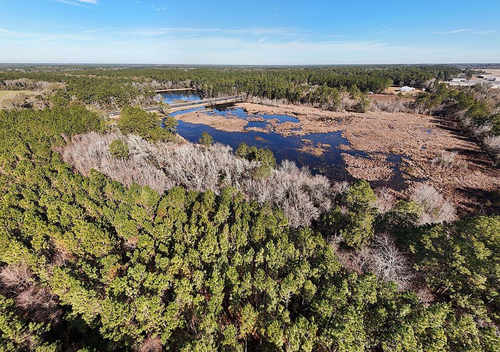 Xx Us Hwy #319-N Moultrie, GA 31768 - Thumbnail 5