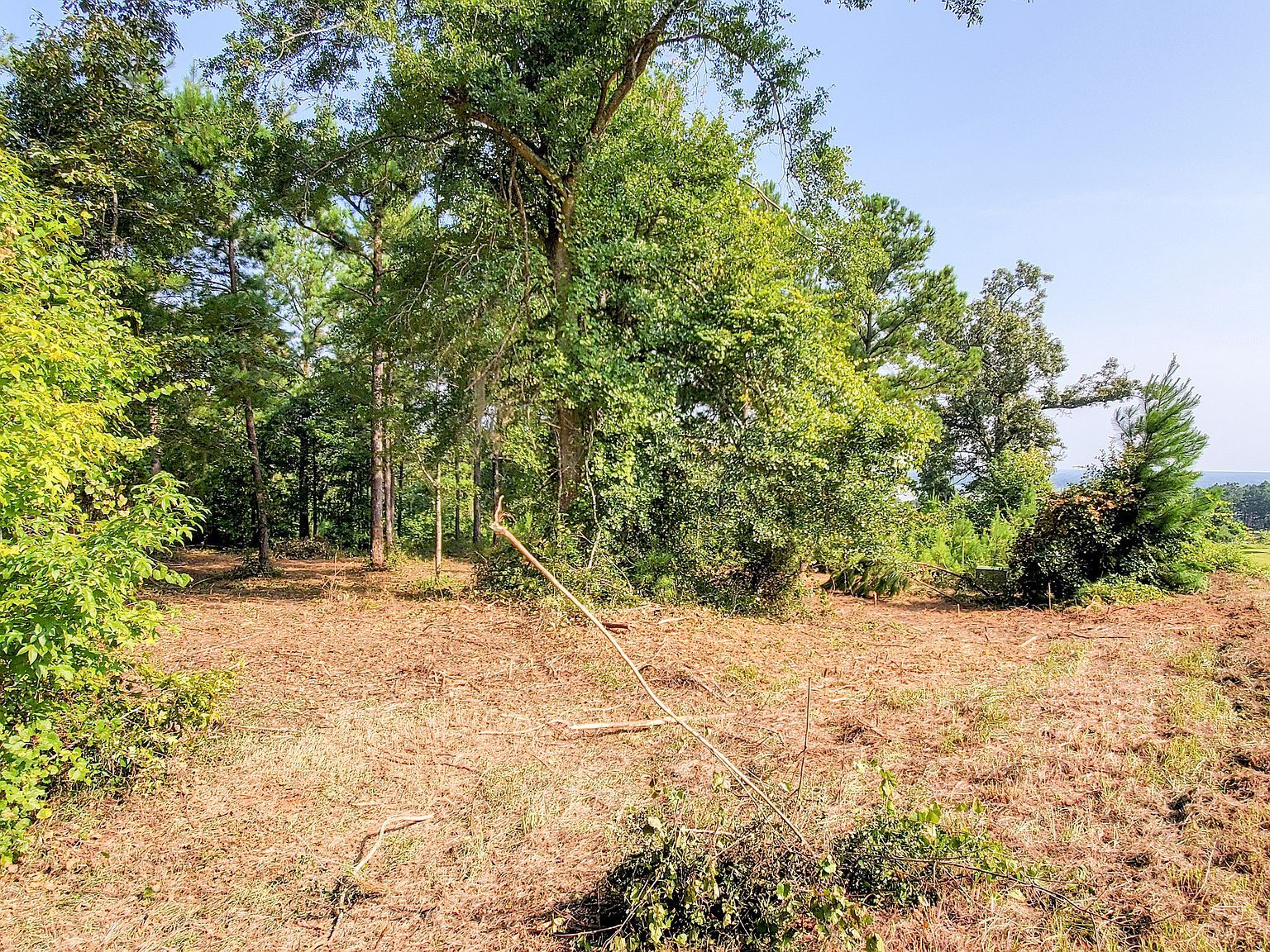 13 Mountain View Way #A Bainbridge, GA 39819 - Thumbnail 5