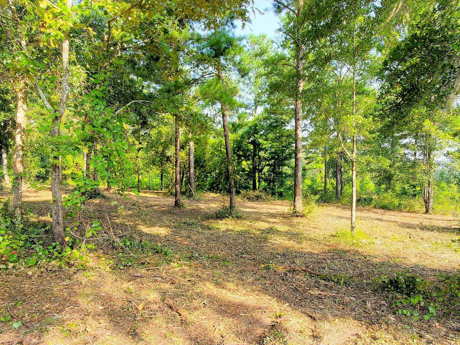 12 Mountain View Way #A Bainbridge, GA 39819 - Thumbnail 5