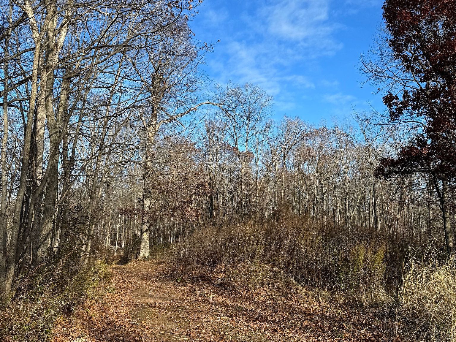 71 Hilltop Dr Branford, CT 06405 - Thumbnail 5