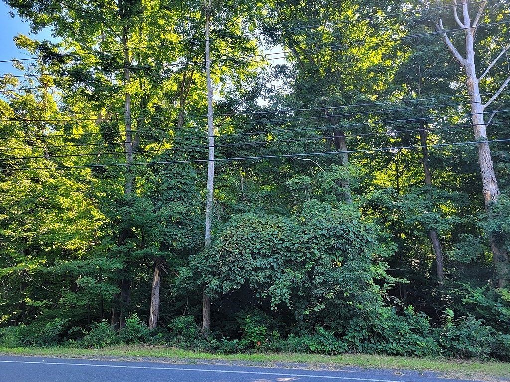 374 Wilbraham Rd LOT A Hampden, MA 01036 - Thumbnail 5
