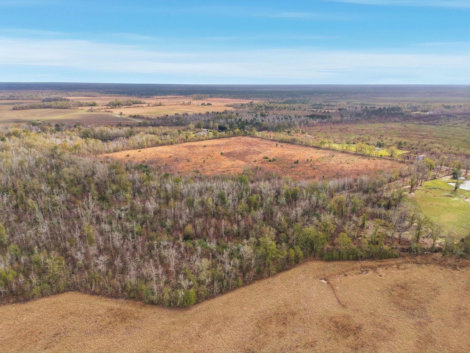 3 Walker Rd Reeves, LA 70658  | Land/Lot