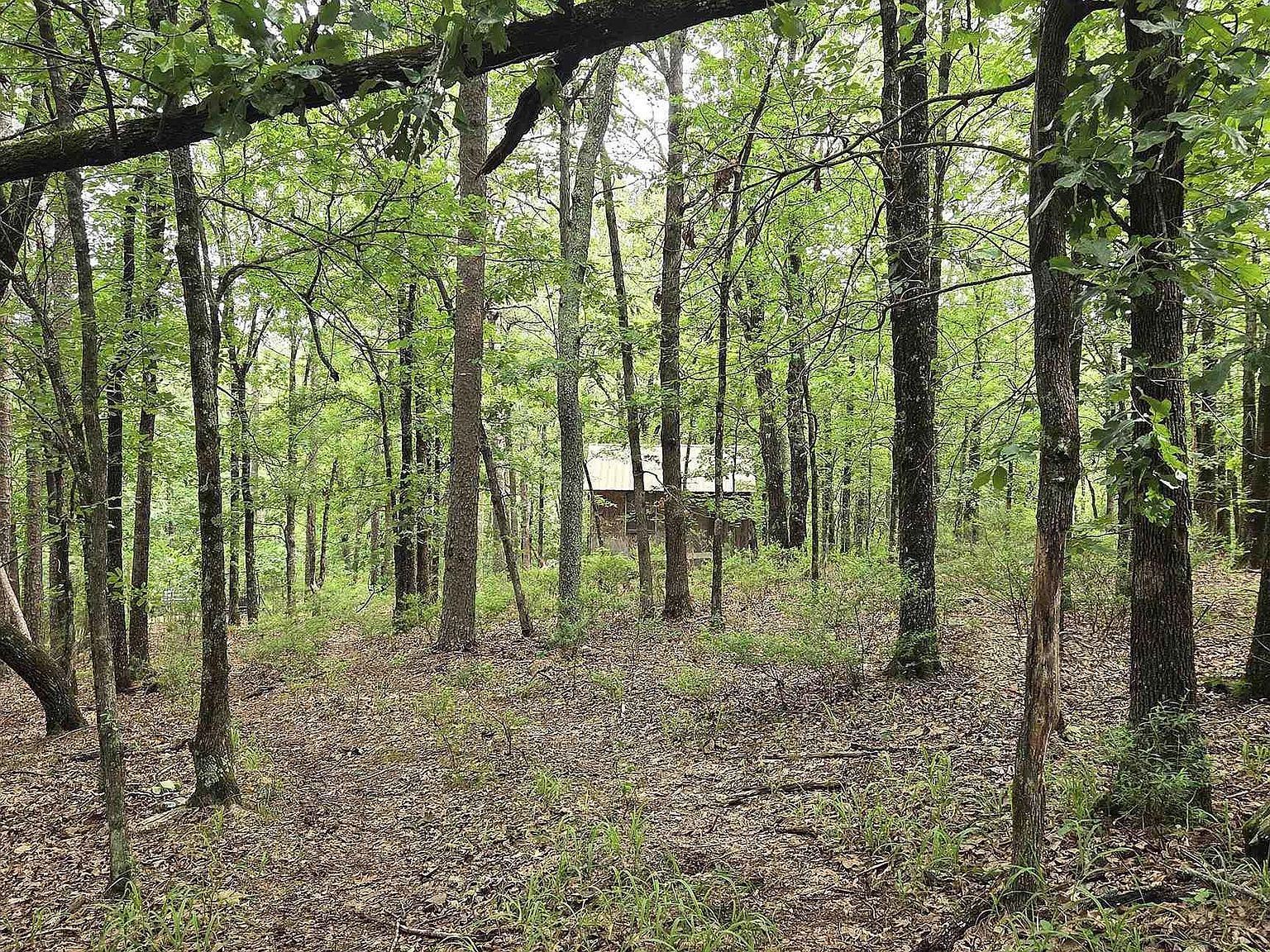 301 Chaparral Ln Mena, AR 71953 - Thumbnail 5