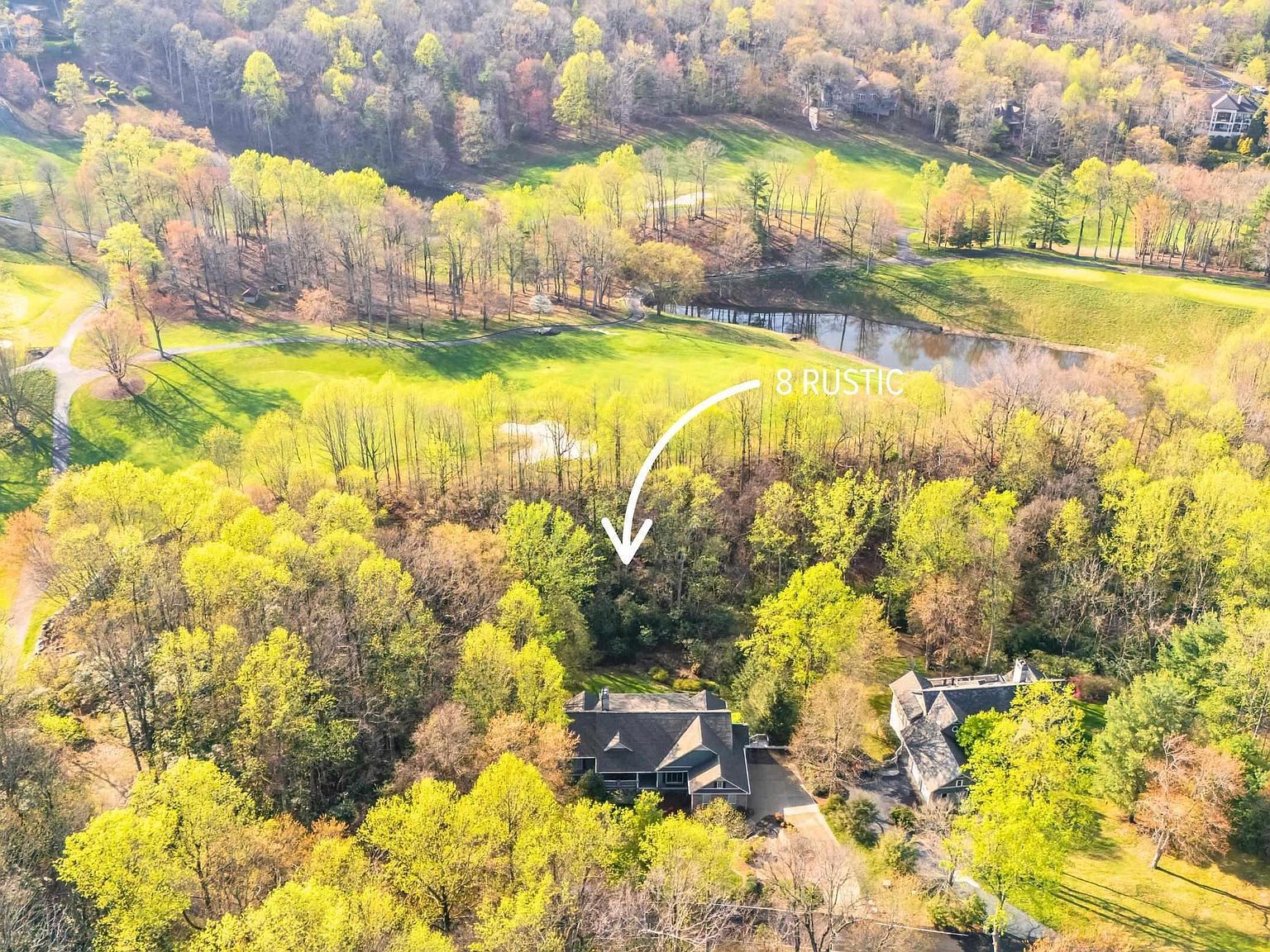 8 Rustic Ct Landrum, SC 29356 - Thumbnail 5