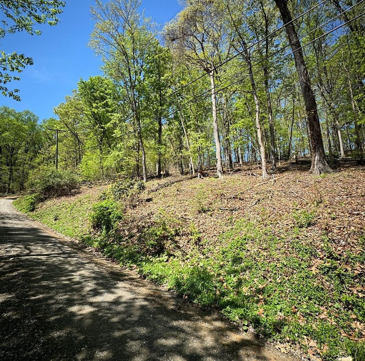 Timber Ln, Bluemont, VA, 20135 - Thumbnail 5