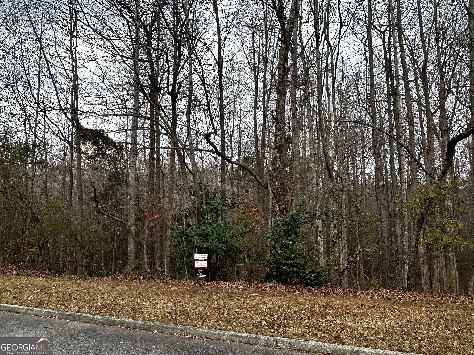 133 Four Oaks Dr Griffin, GA 30224 - Thumbnail 5