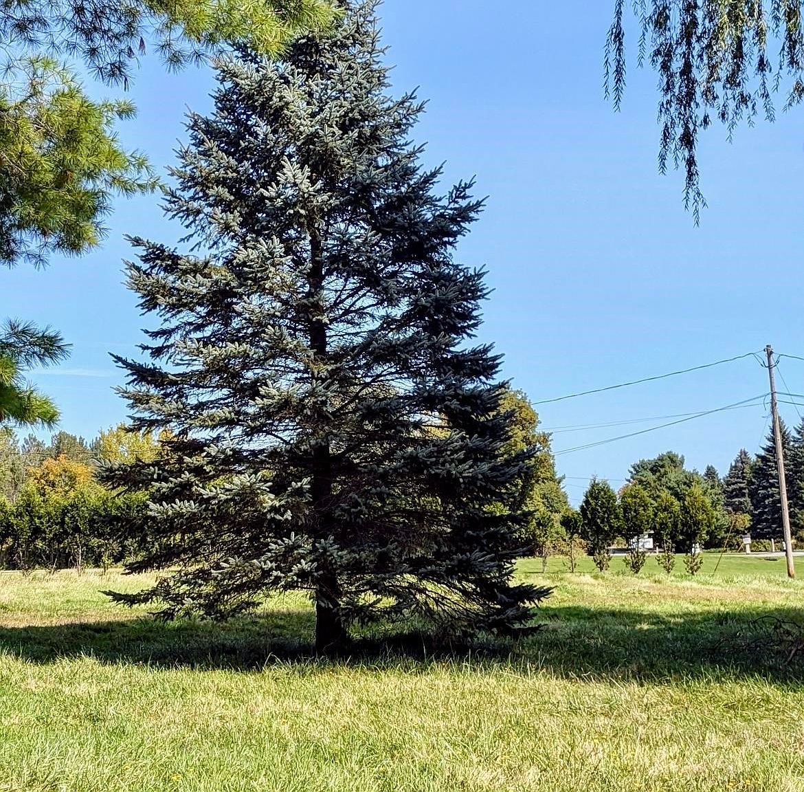 232 Lakeshore Dr Norwood, NY 13668 - Thumbnail 5